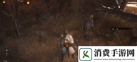 黑神话悟空家园系统怎么玩