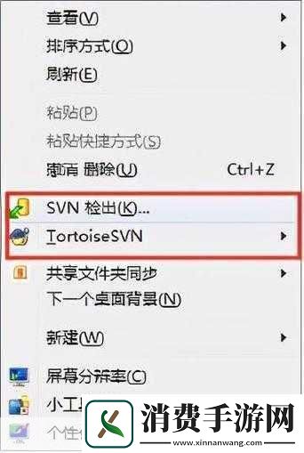 国外免费SVN
