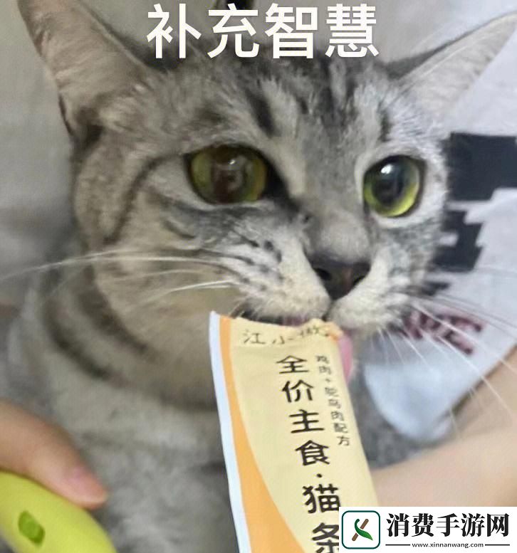 “水戏”新风尚