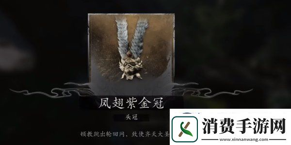 黑神话悟空大圣轮回套装怎么获得