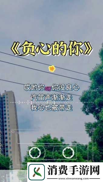 欧美mv日韩mv最火的一句盘点