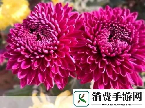 在手游的世界里