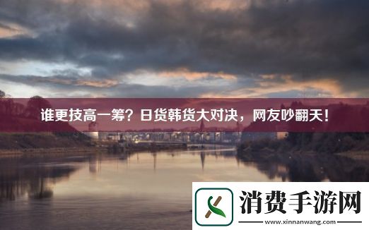 谁更技高一筹日货韩货大对决友吵翻天！