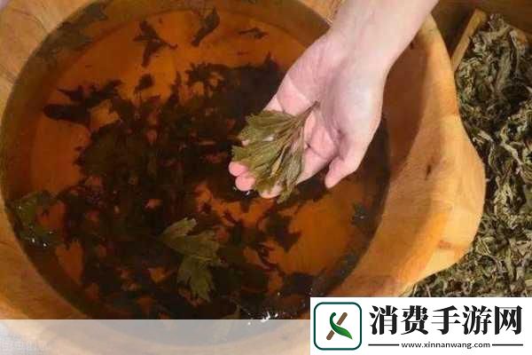 扦插BB有什么好处