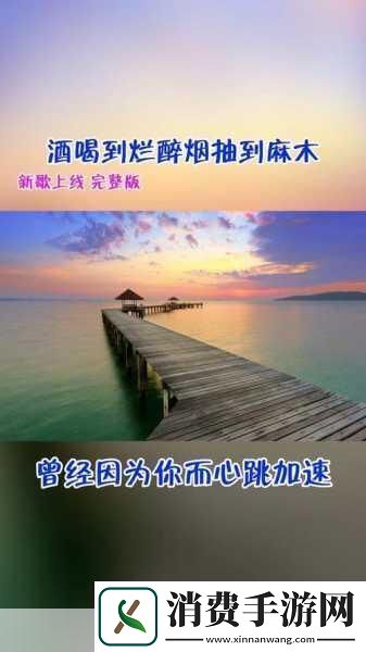 欧美mv日韩mv最火的一句盘点