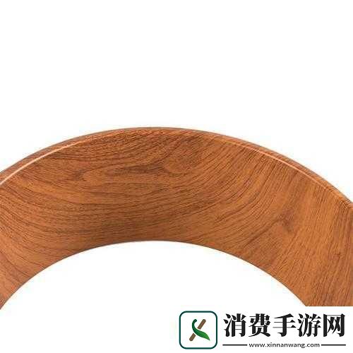 WHEELTPE孕妇轮内容不打码