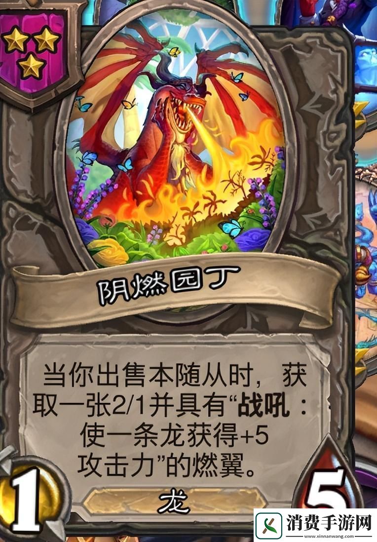 炉石传说酒馆战旗第八赛季流派攻略指南——翻倍参训龙