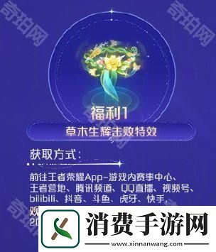 王者荣耀2024共创之夜福利怎么领