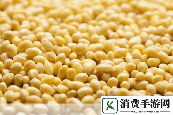 欧美性精品处破系列大豆行情