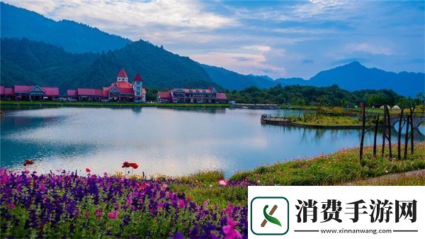 成品网源码7w8w