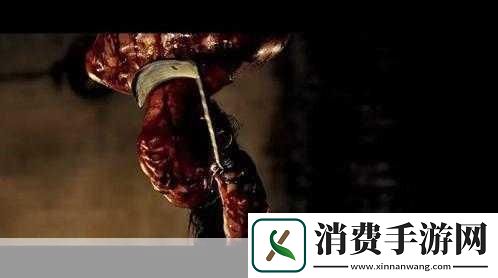在探索未知与极限的冒险旅程中
