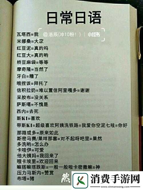 儿媳妇日文翻译