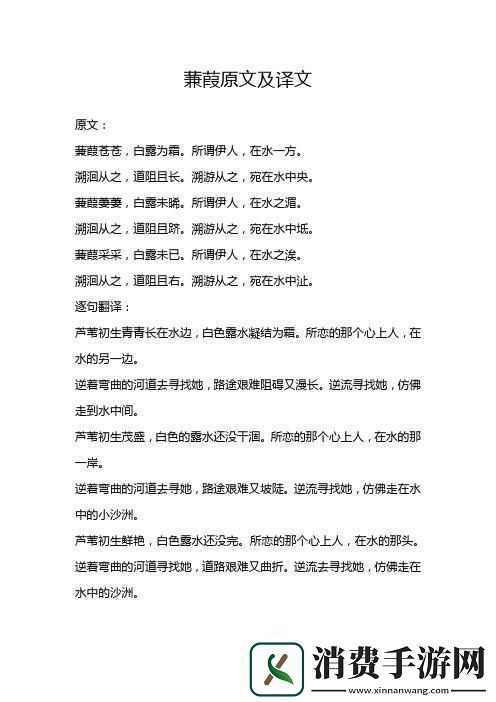 “蒹葭苍苍白露为霜”的科技版时尚解码！