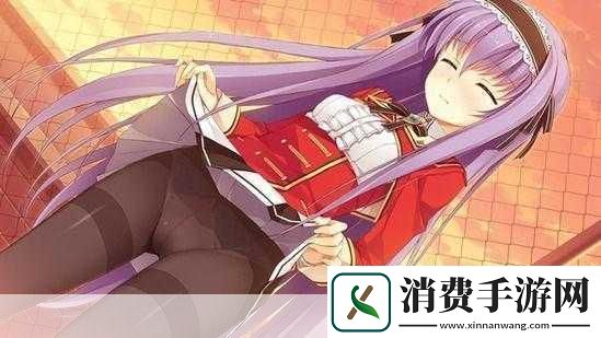 绝美欧派盛宴