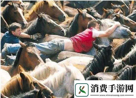 人马大战CRM引发的精彩对决