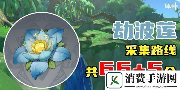 原神劫波莲采集位置分享