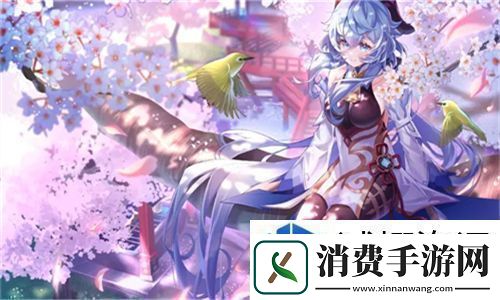 金花瓶楷梅花2观影攻略