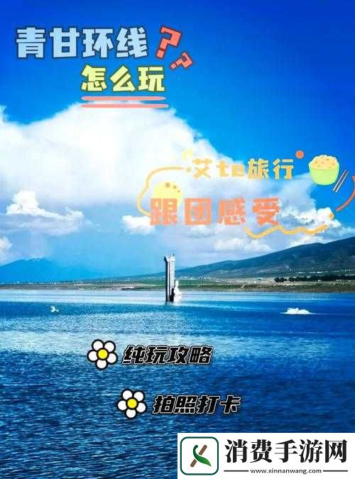 四叶草实验室