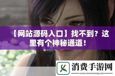 成品站源码入口隐藏通道