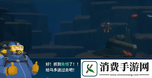 潜水员戴夫魔法水母怎么抓