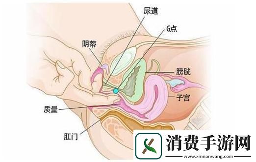 青涩岁月的回忆——大荫蒂BBBBBB大荫蒂