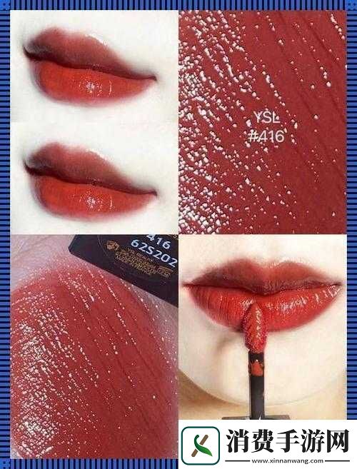 YSL千人千色T9T9T9T9一大亮点