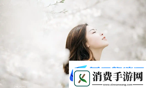 体验九幺黄9·1安装攻略