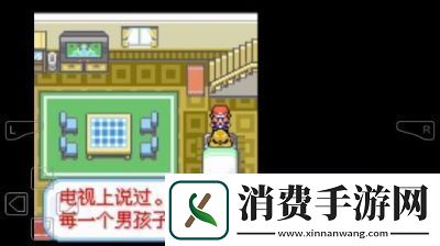 口袋妖怪