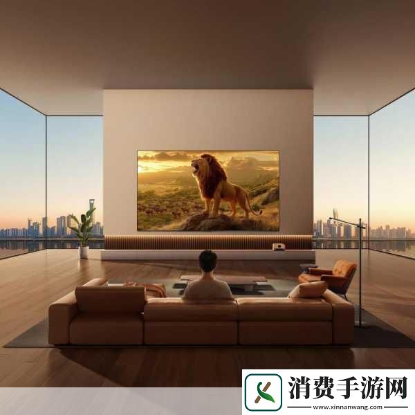 HD画质新标杆