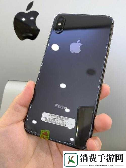 战术指导