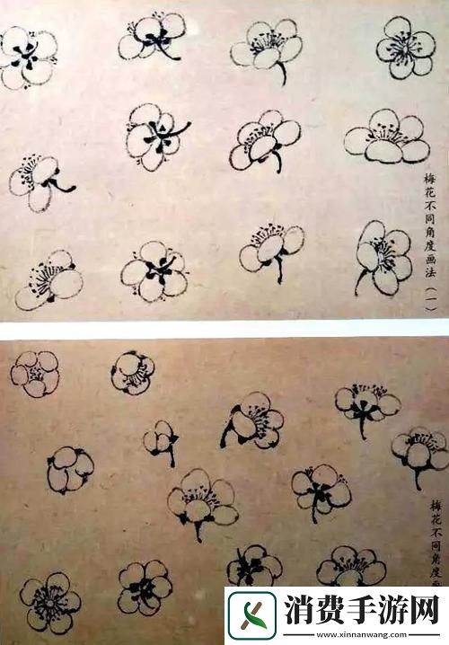 梅花开几度老张周梅细数岁月的情愫与期待