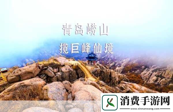晃来晃去的巨峰