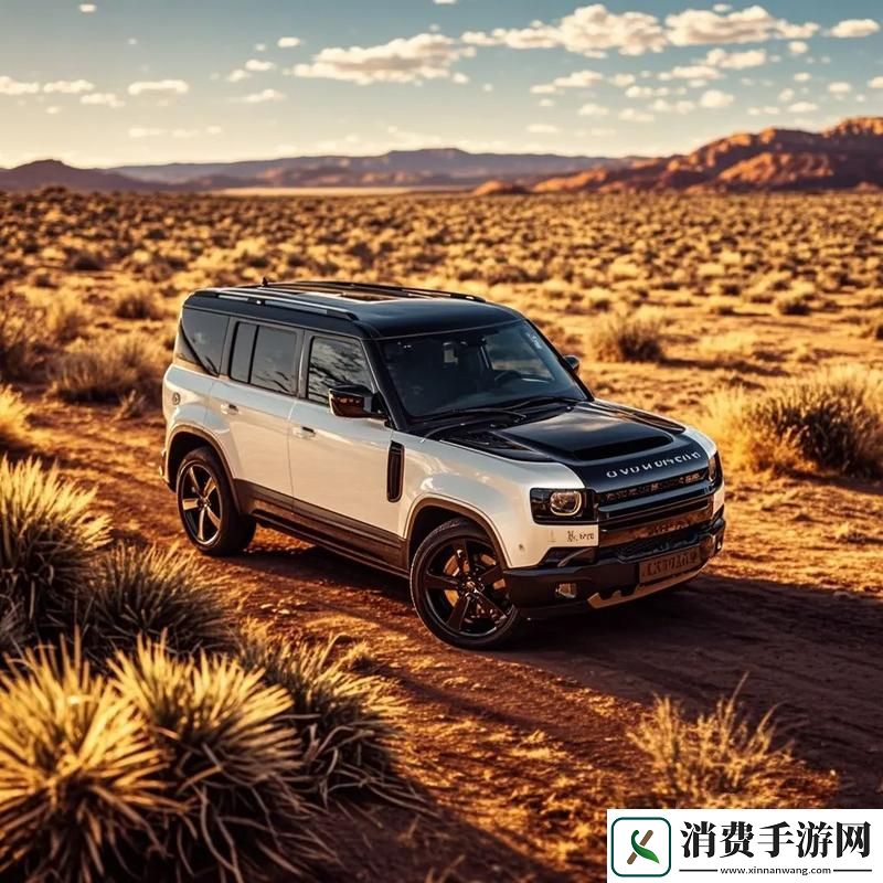 欧美无人区码SUV