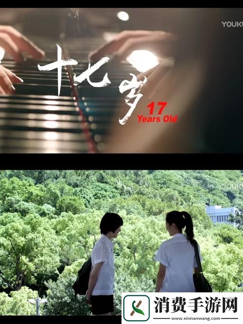 探索青春的旅程尽在17岁高清完整版在线观看免费