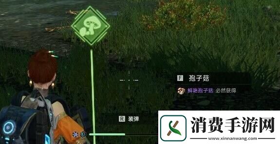 星球重启感染区位置一览