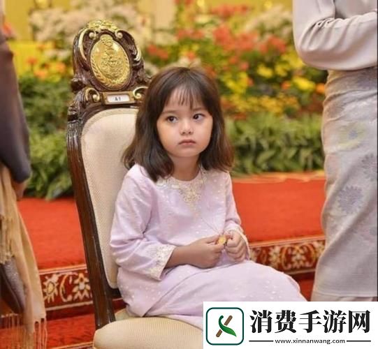 探寻“皇家共享小公主楚欢”的奇幻世界