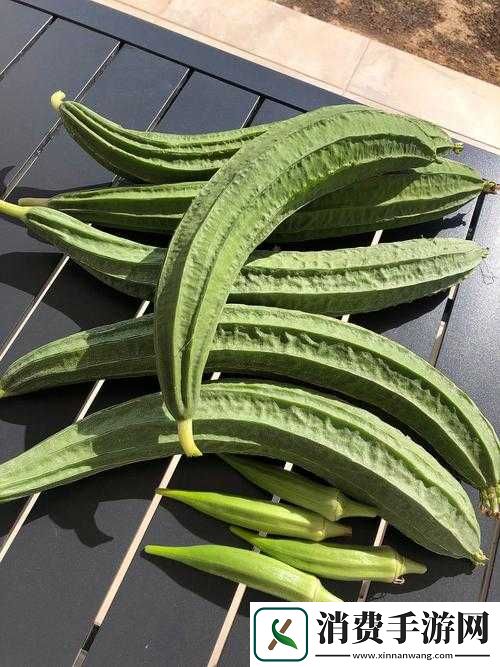 草莓秋葵鸭脖丝瓜榴莲