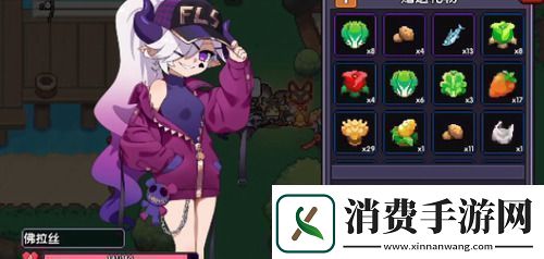 我的勇者魔女怎么入住家园