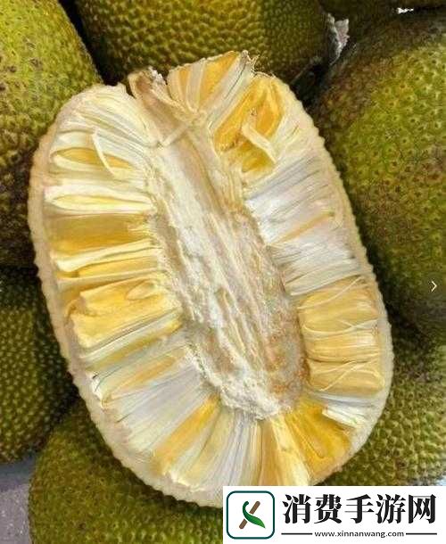 菠萝蜜免费入口