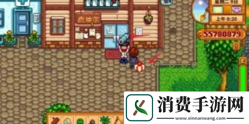 星露谷物语怎么结婚