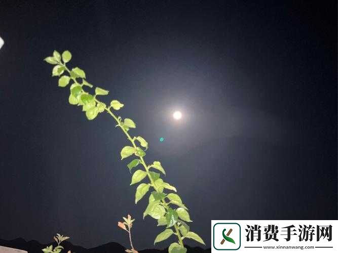 小芳与父亲共赏十五的月亮十六圆别样情