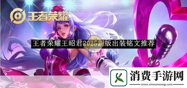 2024王昭君出痛苦面具和破茧之衣组合怎么样