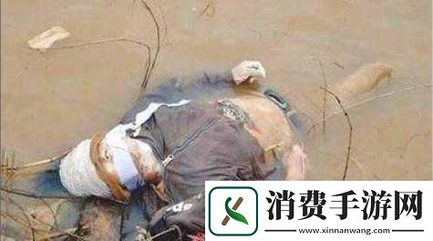 缅甸北部血腥站直接进入