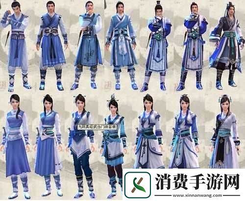 九阴真经手游武当门派武学深度解析