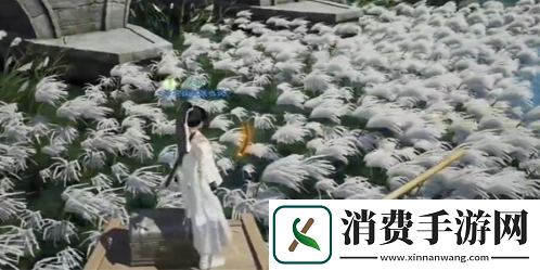 射雕手游梅花肯瓷全收集攻略
