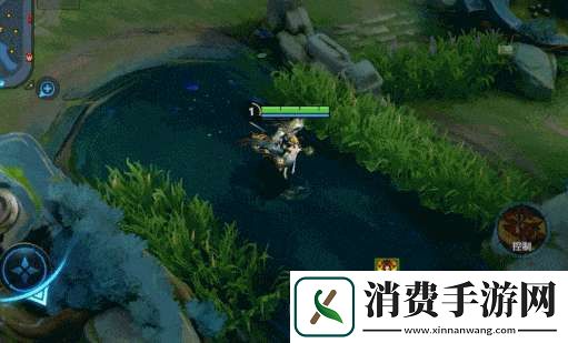 3款无双限定皮肤优化