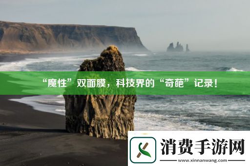 “魔性”双面膜科技界的“奇葩”记录！