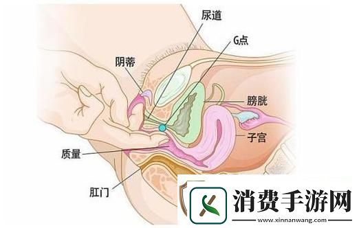 探寻“大荫蒂BBBBBB大荫蒂”的奇妙世界