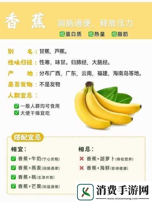 香蕉文化的魅力与内涵探究