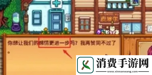 星露谷物语怎么结婚